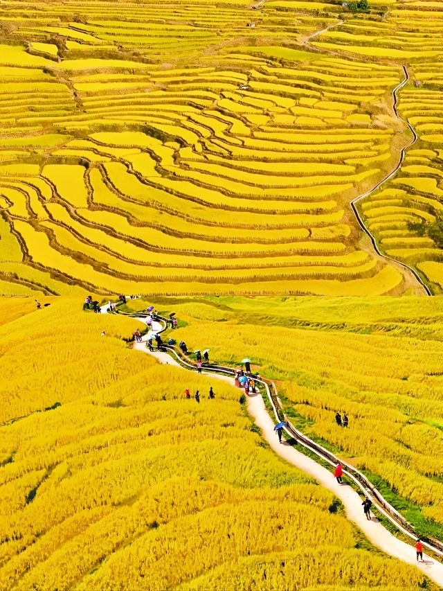 我在廣東，找到了秋日童話。