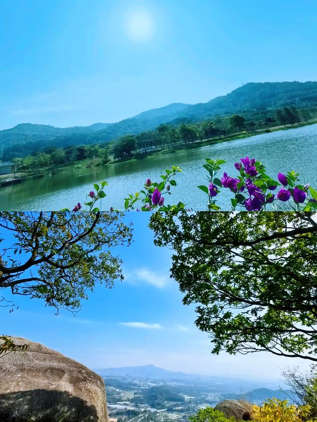 鳳凰山：神秘吸引力解密，你不知道的美麗景色。