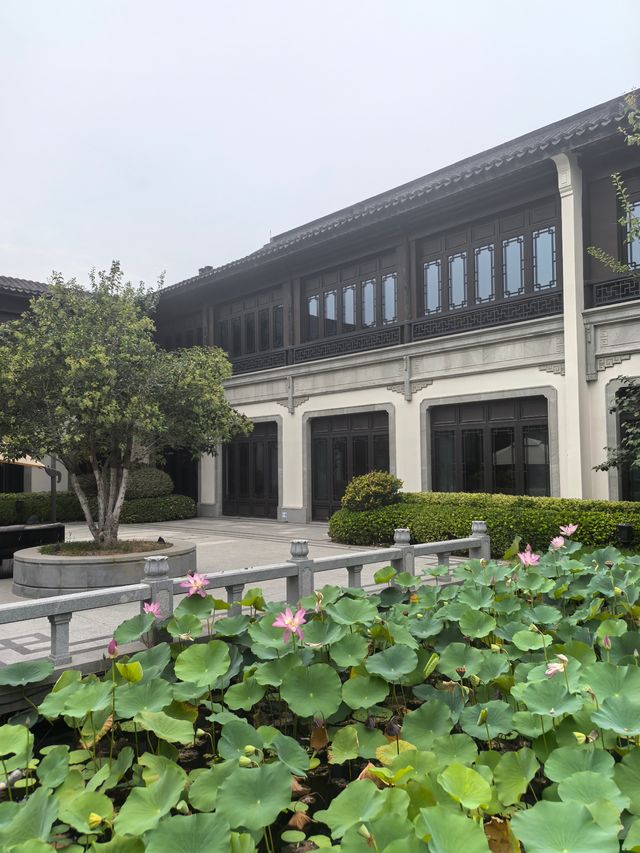 齊河新開業的寶藏酒店——安德湖涵田酒店。