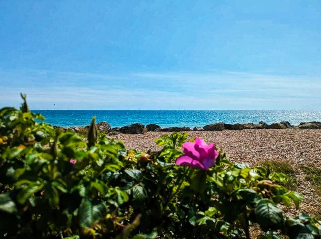 英國氣候最好、獨具一格的英倫海濱小城：沃辛。
