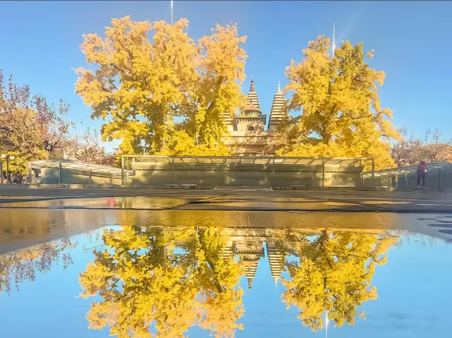 北京版吳哥窟——五塔寺秋色。