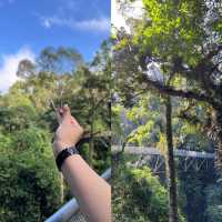 居林旅遊攻略。