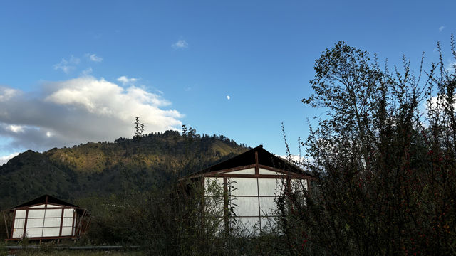 偏向山野行。