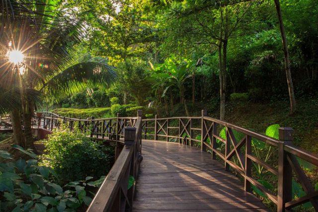北宾銮语酒店：盡享湄公河美景。