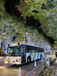 Roppongi Christmas 2022 has begun