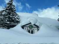 A Must-Visit Onsen Experience at Tsurunoyu