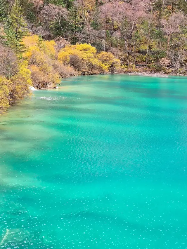 Jiuzhaigou 2-day tour. 