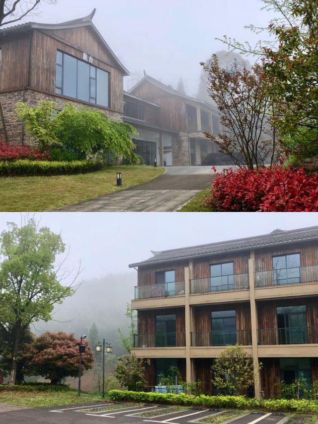想要擁抱大自然，就到梁平百里竹海。