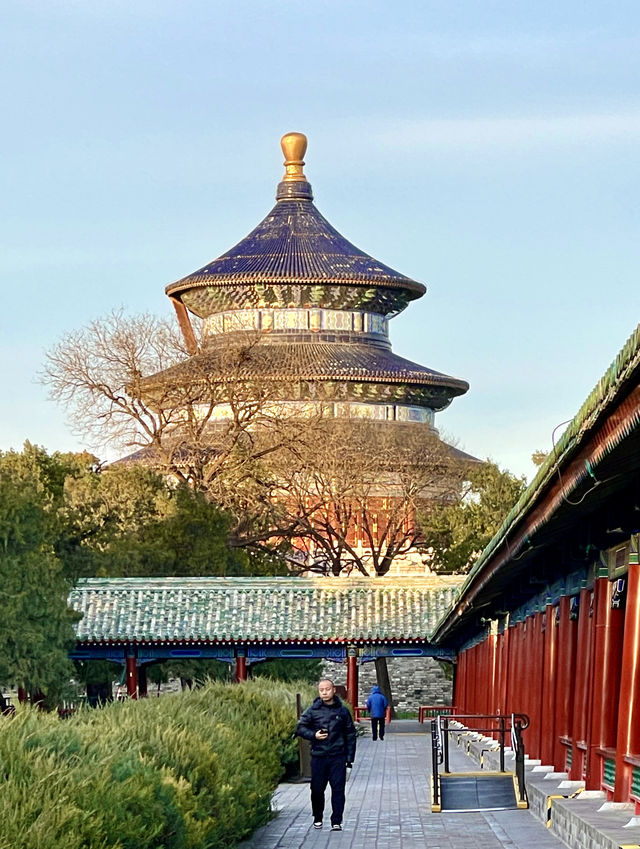 冬日藍天下祈年殿的天壇公園韻味。