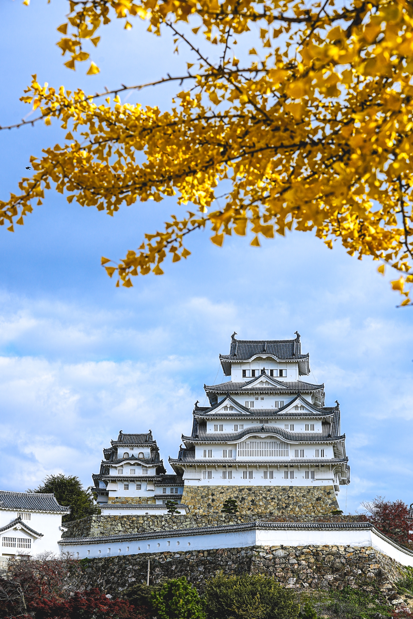 最新】姫路城 - チケット、営業時間、口コミ、写真 [2025年