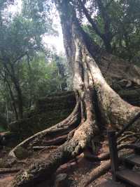 Travel Back in Time to Angkor Wat