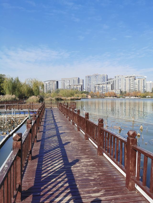【山東省德州市】長河公園。
