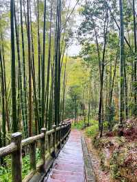 別划走在宜賓待了2天 熬夜整理的建議