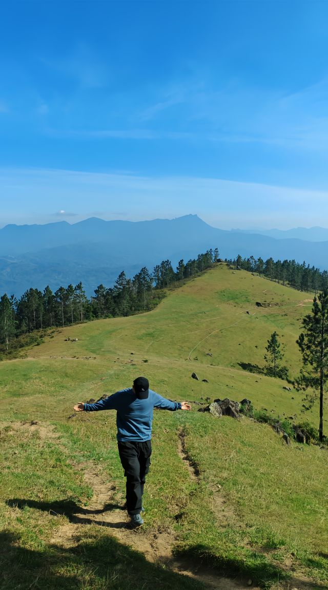 據說這裡的高山草甸獨屬海南·同款阿勒泰天花板