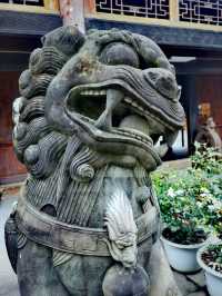 初冬騎行暮訪金華寺|於塵世尋一抹古剎清幽