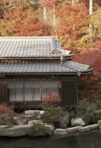石山寺｜何必去京都看紅葉擠破頭
