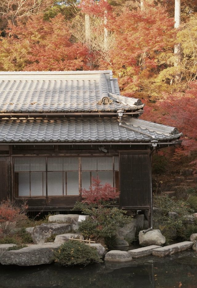 石山寺｜何必去京都看紅葉擠破頭
