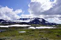 Norway's Scenic Sognefjellet Road