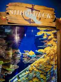 亞特蘭大喬治亞水族館｜親子遊的絕佳選擇