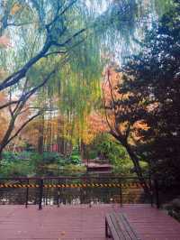 上海的莫奈花園