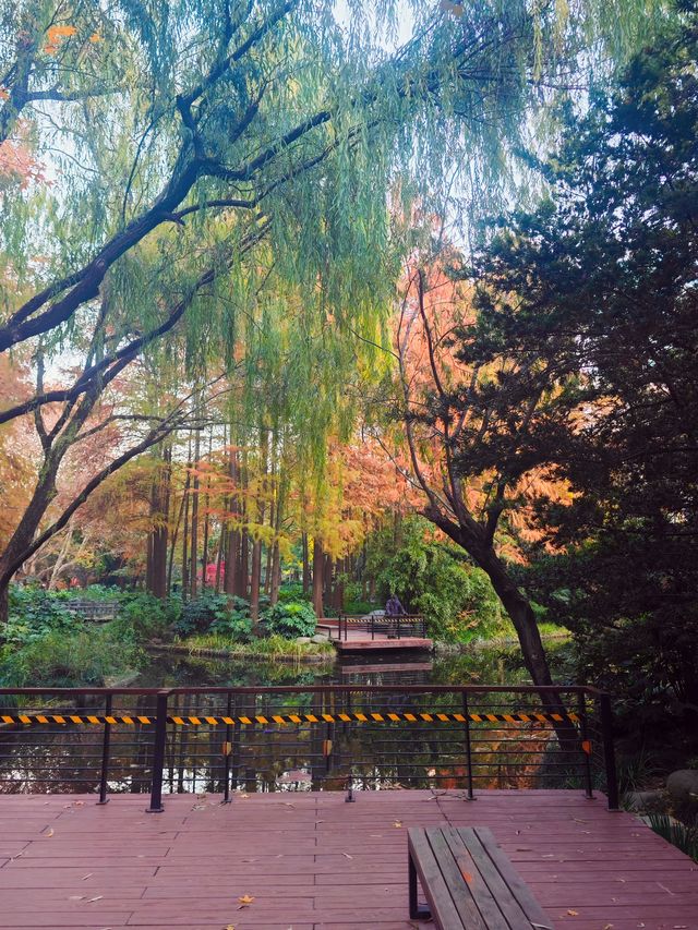 上海的莫奈花園