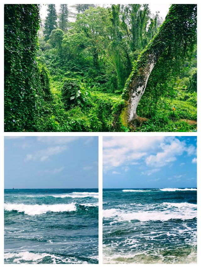 夏威夷可愛島，風景絕美的度假勝地