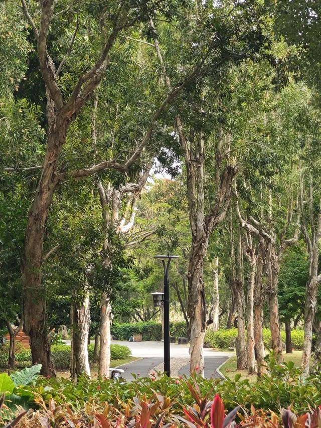 中澳友誼花園｜中澳文化的交匯之地