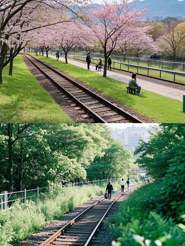 韓國河東郡