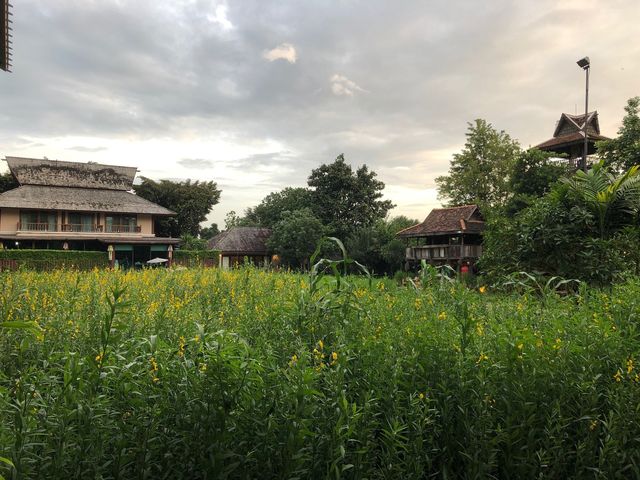 清邁寧靜之選｜度假放鬆好去處
