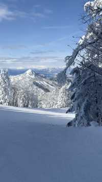 Skiing in Japan: Day Two at Shiga Kogen's Snow Monsters!