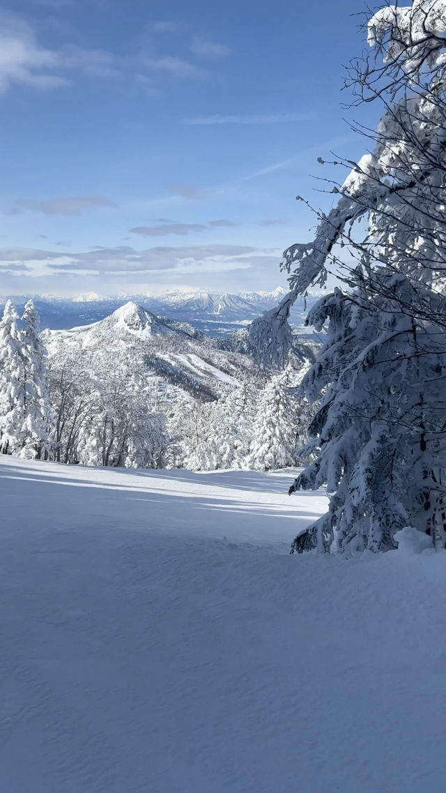 Skiing in Japan: Day Two at Shiga Kogen's Snow Monsters!