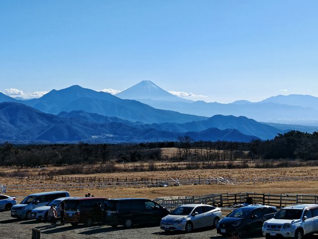 冬季遊山梨縣清泉寮