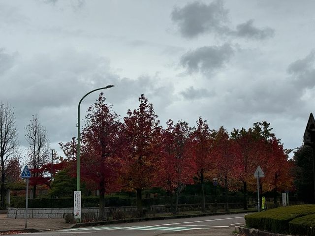 家人們誰懂啊！在蘆城公園狠狠拿捏鬆弛感
