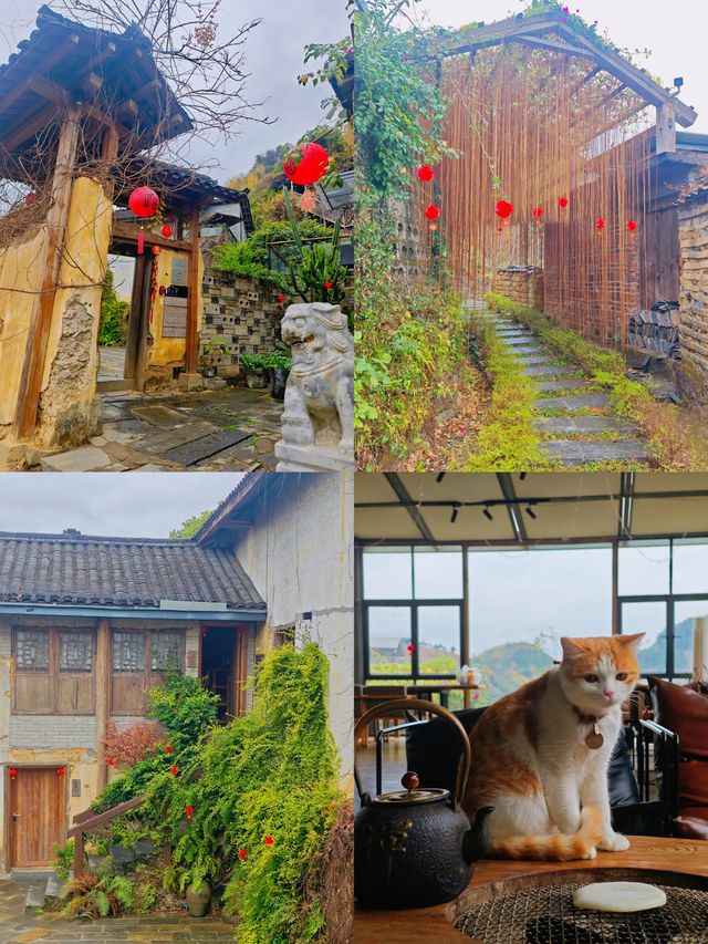 陽朔｜在民宿，和貓咪成為了好朋友