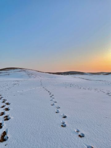 3日暢遊阿拉善-石嘴山-中衛 超詳細攻略來啦
