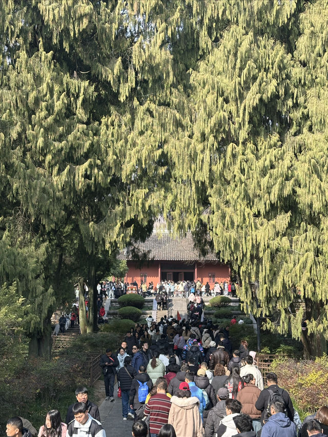 南京必去|明孝陵，邂逅歷史的浪漫