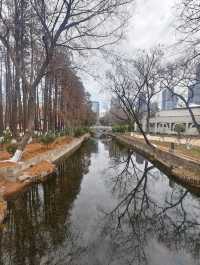 武漢|被一個公園狠狠治癒了~中山公園絕絕子