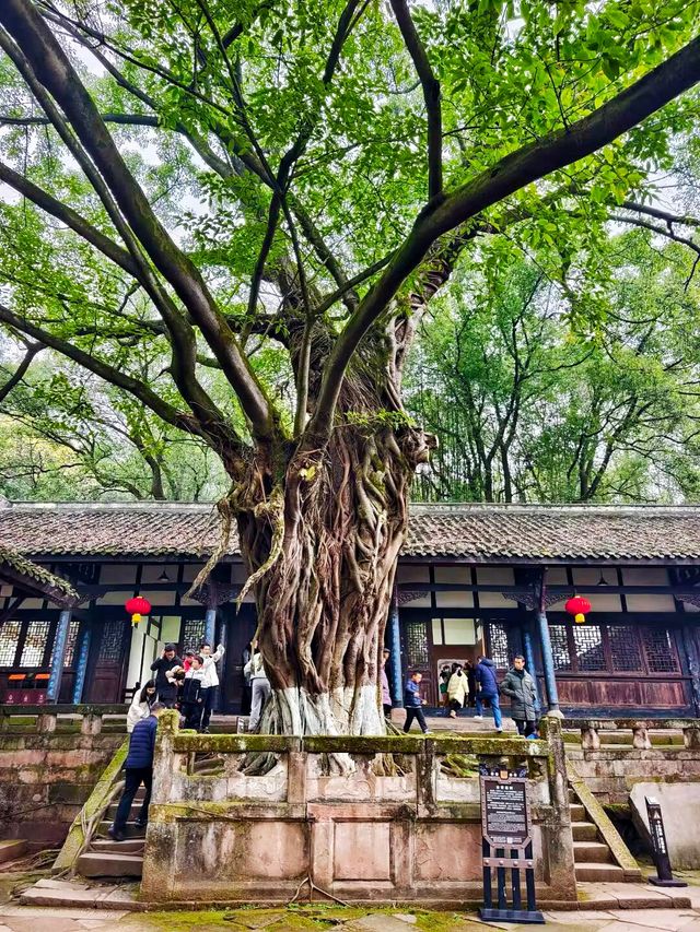 合川區     釣魚城景區-忠義祠