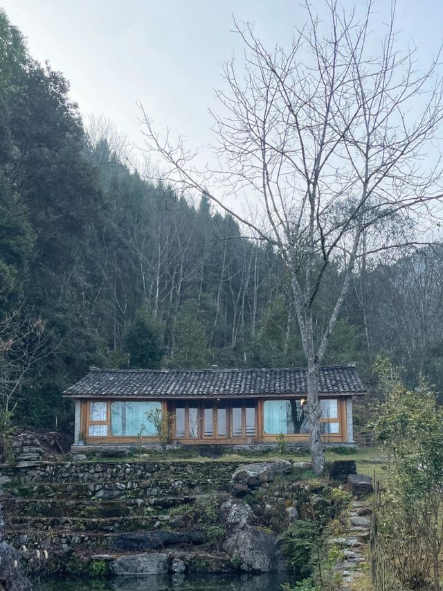 高黎貢山-鳳瑞森林廚房民宿推薦！