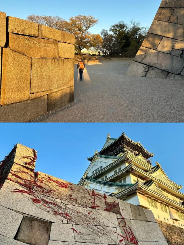 日本豐岡市旅遊攻略來啦！
