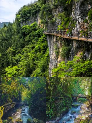 Dazhou | Visit in February and March for fewer crowds and beautiful scenery!
