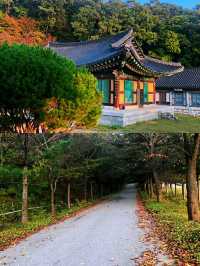 金泉市｜韓國小眾寶藏旅行地