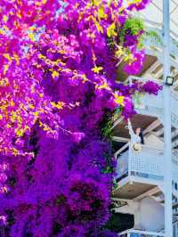 Kunming Attractions 