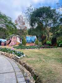 打卡廈門首家現實版莫奈花園~
