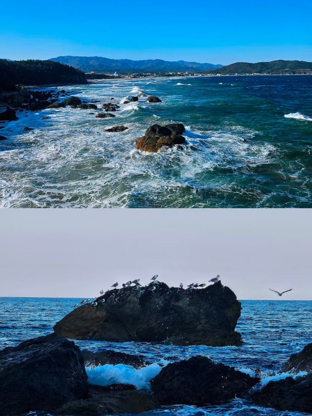 韓國浦項