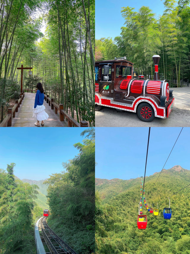 溧陽遊｜泡溫泉遊天目湖逛竹海餵動物