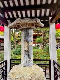 又是一樹黃花