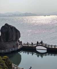 鼓浪嶼，從下船一刻就美到失語！
