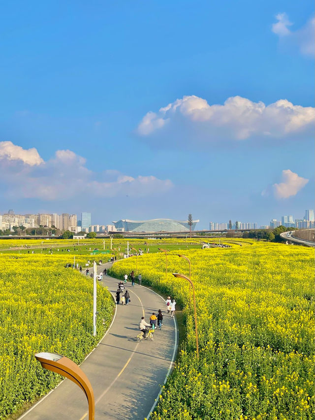 春日限定！成都賞花地圖大公開