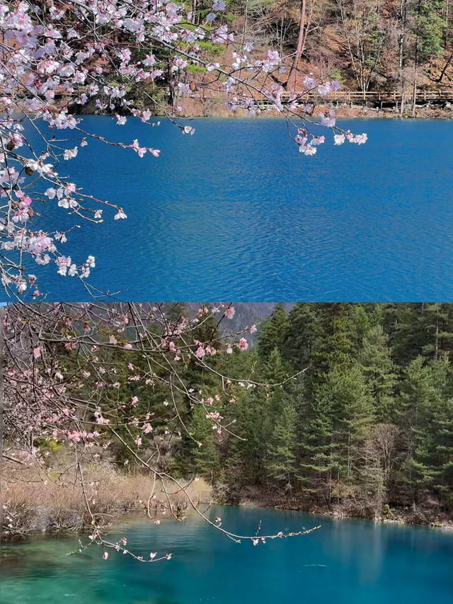 天啊，這裡不是富士山，是3月的九寨溝。
